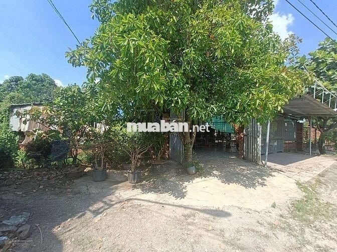 Bán đất tại Bắc Tân Uyên, 5.8 tỷ , 2411 m2