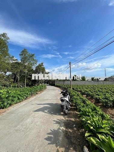 NỀN NGHĨ DƯỠNG GIÁ RẺ GẦN KDL GIÀN GỪA