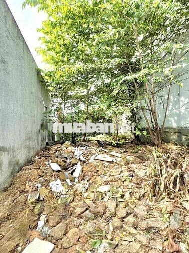 🏡 BÁN LÔ ĐẤT THỔ CƯ 💯  DT 70M2 _ CẠNH SIÊU THỊ COOPMART