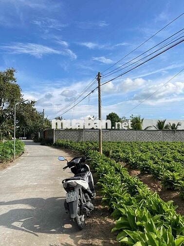 NỀN NGHĨ DƯỠNG GIÁ RẺ GẦN KDL GIÀN GỪA