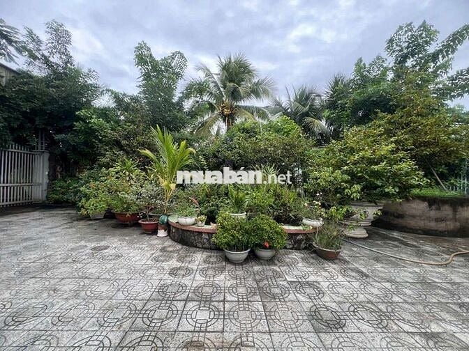 MẶT TIỀN TỈNH LỘ 883 DT 1000 m2