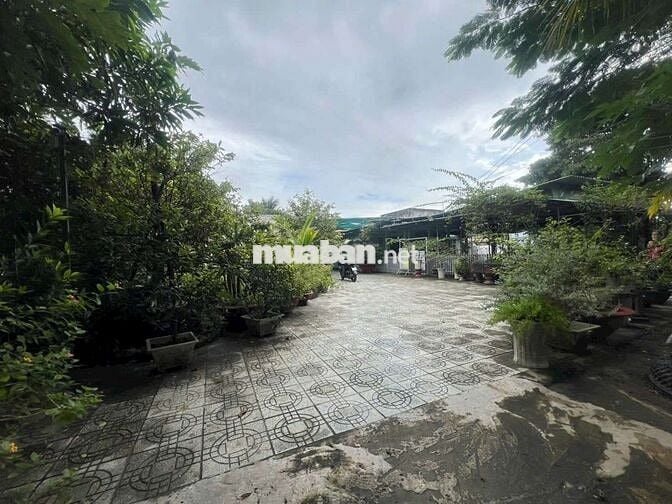 MẶT TIỀN TỈNH LỘ 883 DT 1000 m2