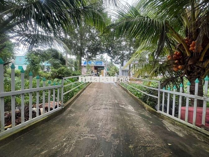 MẶT TIỀN TỈNH LỘ 883 DT 1000 m2