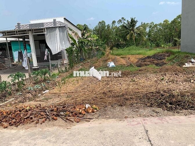 cần bán nên biêt thự 301m thổ Phú Đông cách Võ Thị Sáu 150m vuông đẹp