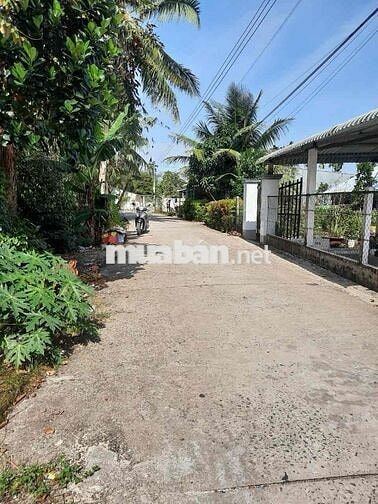 cần bán nên biêt thự 301m thổ Phú Đông cách Võ Thị Sáu 150m vuông đẹp
