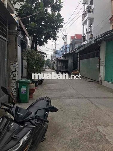 🧧🧧Nhà cho thuê Bùi tư toàn- An lạc- quận bình Tân - DT lớn- bao rẻ  💰💰
