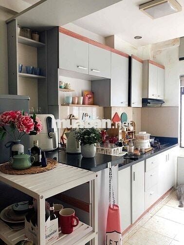 Cần bán căn hộ trung tâm có sổ hồng vĩnh viễn