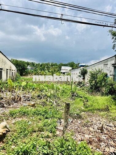 BÁN LÔ ĐẤT LÀM KHO XƯỞNG-737M2-ĐƯỜNG THANH NIÊN-GIÁ CHỈ 10 TỶ