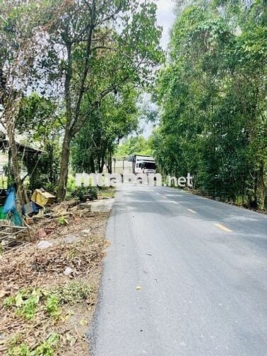 BÁN LÔ ĐẤT LÀM KHO XƯỞNG-737M2-ĐƯỜNG THANH NIÊN-GIÁ CHỈ 10 TỶ