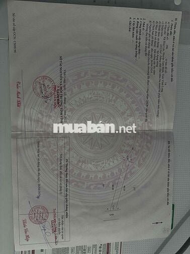 Đất Nền Mặt Tiền Đường Tỉnh Lộ 904 - Tam Bình