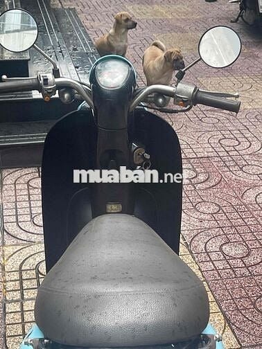 Bán xe Scoopy50cc,Bst đời 2019,xe đẹp Gtdd