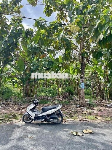 NỀN GẦN MẶT TIỀN NGUYỄN VĂN CỪ HƯỚNG ĐÔNG NAM