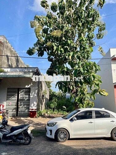 NỀN ĐẸP KHÔNG CỐNG TỤ GẦN MẶT TIỀN NGUYỄN VĂN CỪ PHONG ĐIỀN