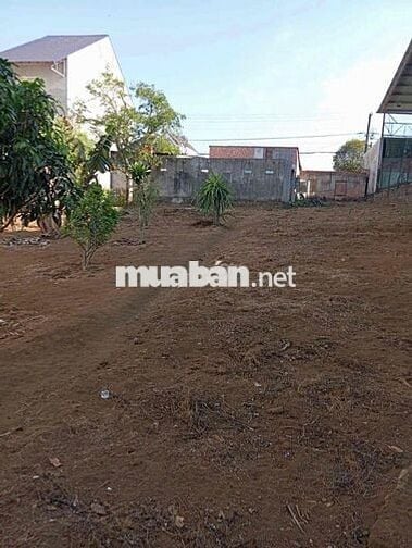CẦN BÁN NHANH ĐẤT MẶT TIỀN SIÊU HIẾM - ĐƯỜNG LÊ DUẨN - BẢO LÂM