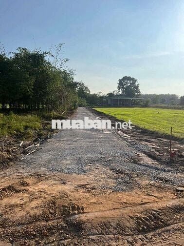 Kẹt Vốn Bán Gấp Lỗ Lô Đất full Thổ 5x35m