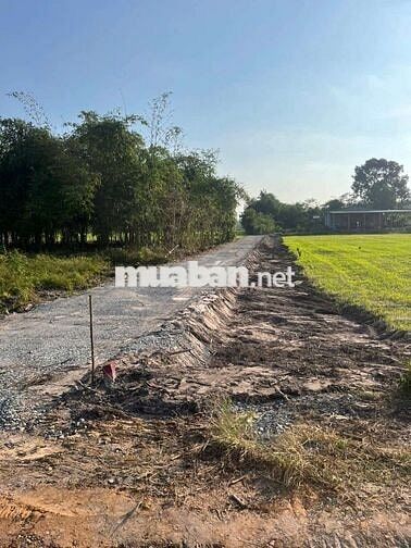 Kẹt Vốn Bán Gấp Lỗ Lô Đất full Thổ 5x35m