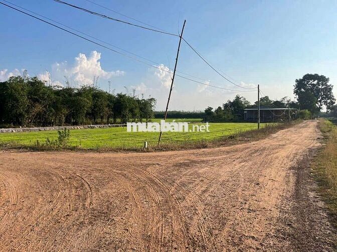 Kẹt Vốn Bán Gấp Lỗ Lô Đất full Thổ 5x35m