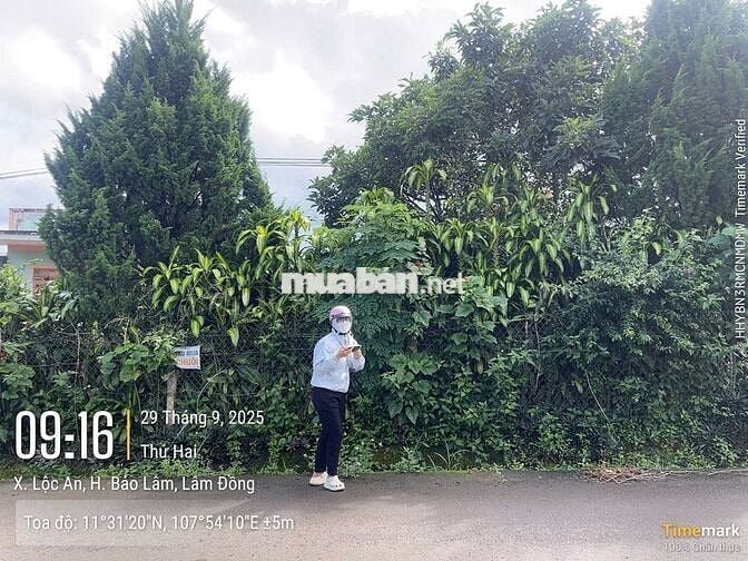 RẺ NHẤT MẶT TIỀN ĐƯỜNG LỚN TỨ QUÝ - CHỈ 220TR/M NGANG ĐẤT SẴN THỔ CƯ