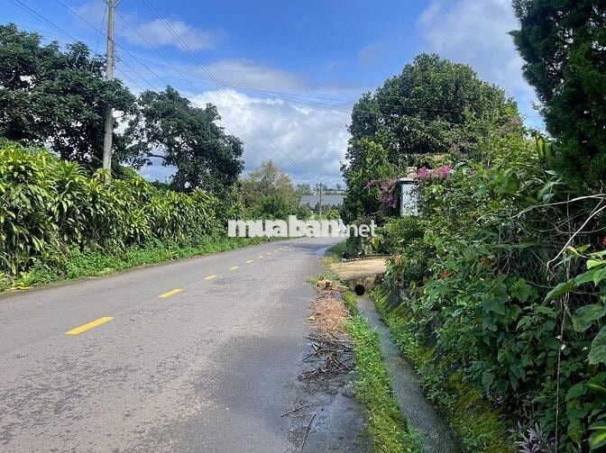 RẺ NHẤT MẶT TIỀN ĐƯỜNG LỚN TỨ QUÝ - CHỈ 220TR/M NGANG ĐẤT SẴN THỔ CƯ