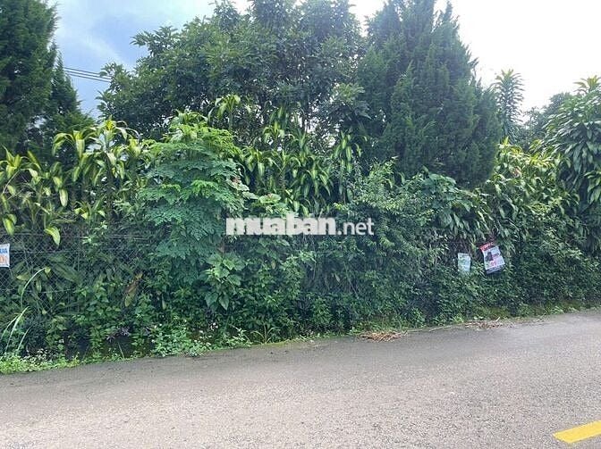 RẺ NHẤT MẶT TIỀN ĐƯỜNG LỚN TỨ QUÝ - CHỈ 220TR/M NGANG ĐẤT SẴN THỔ CƯ