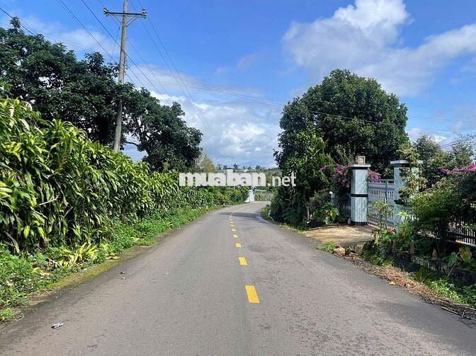 RẺ NHẤT MẶT TIỀN ĐƯỜNG LỚN TỨ QUÝ - CHỈ 220TR/M NGANG ĐẤT SẴN THỔ CƯ