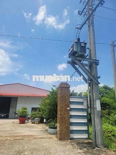 BÁN NHÀ XƯỞNG TIỆN KINH DOANH CTY