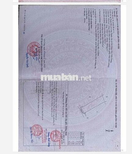 BÁN NHÀ XƯỞNG TIỆN KINH DOANH CTY