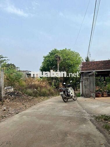 Chính chủ bán đất hòa khánh - buôn ma thuột