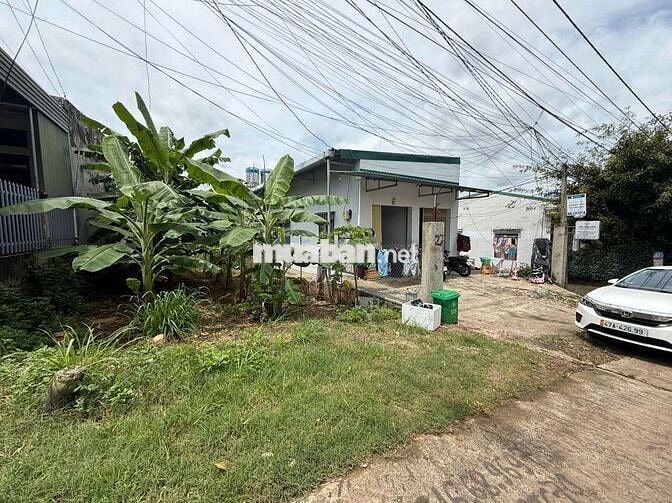 📢📢 Đất Mặt Tiền Đường Nay Thông - Ngay Đại học Tây Nguyên -.