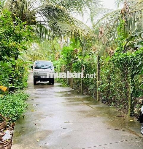 Đất Mỹ Hưng, Mỹ Phong 4m5 x 42 cách ĐH90A chỉ 150m hẻm ô tô