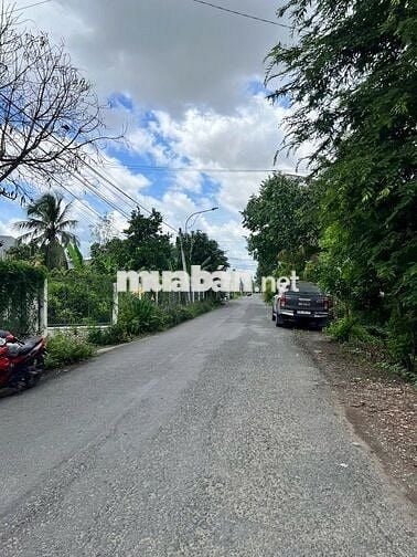 Đất Mỹ Hưng, Mỹ Phong 4m5 x 42 cách ĐH90A chỉ 150m hẻm ô tô