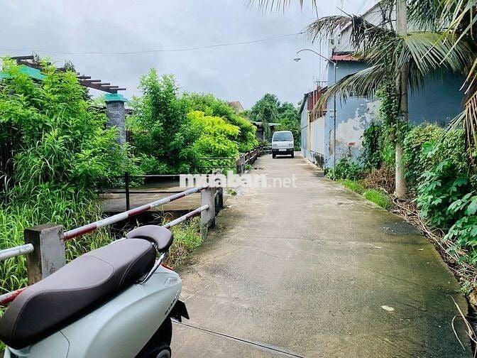 Đất Mỹ Hưng, Mỹ Phong 4m5 x 42 cách ĐH90A chỉ 150m hẻm ô tô