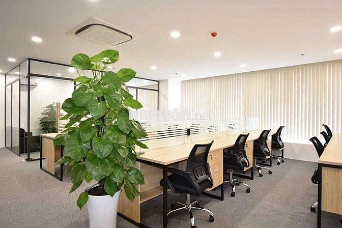 Cho thuê văn phòng có lễ tân - rộng rãi - thuận tiện di chuyển q4,1,8