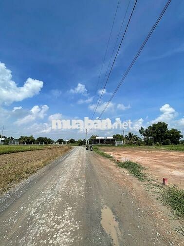 Hàng hiếm ngay Vin Hậu Nghĩa 650 triệu, 115m2, Đức Hòa, Long An