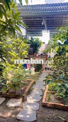 ĐẤT FULL THỔ CƯ,XÂY DỰNG TỰ DO,NGAY TRUNG TÂM THỊ TRẤN HÓC MÔN