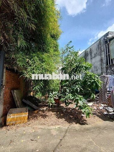 BÁN ĐẤT HÓC MÔN - XE TẢI TRÁNH - DT KHỦNG - GIÁ CỰC RẺ