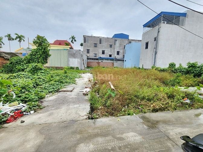 Cần bán lô góc tại Kiều Trung, Đồng Thái, An Dương, Hải phòng.
