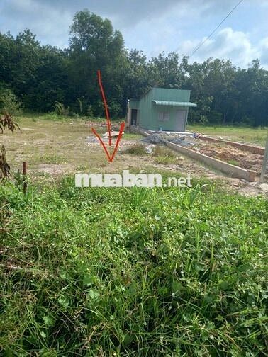 2 tỷ 070 mặt tiền đường Trần Đại Nghĩa (Bình Dương)