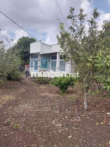 BÁN GẤP LÔ ĐẤT CÓ SỔ ĐỎ 1.401m2 CÓ NHÀ SẴN 2 GIAN Ở LONG KHÁNH