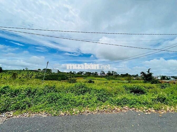 ĐẤT ĐẸP GIÁ ĐẦU TƯ HẺM LÝ THÁI TỔ FULL THỔ CƯ