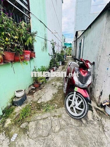 ĐẤT SỔ RIÊNG 261m hẻm 262 Bùi Thị Xuân gần chợ Tân Bình