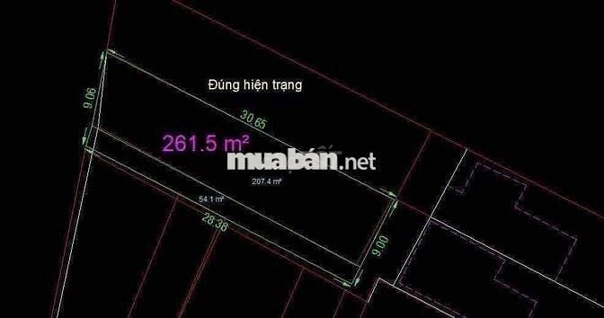 ĐẤT SỔ RIÊNG 261m hẻm 262 Bùi Thị Xuân gần chợ Tân Bình