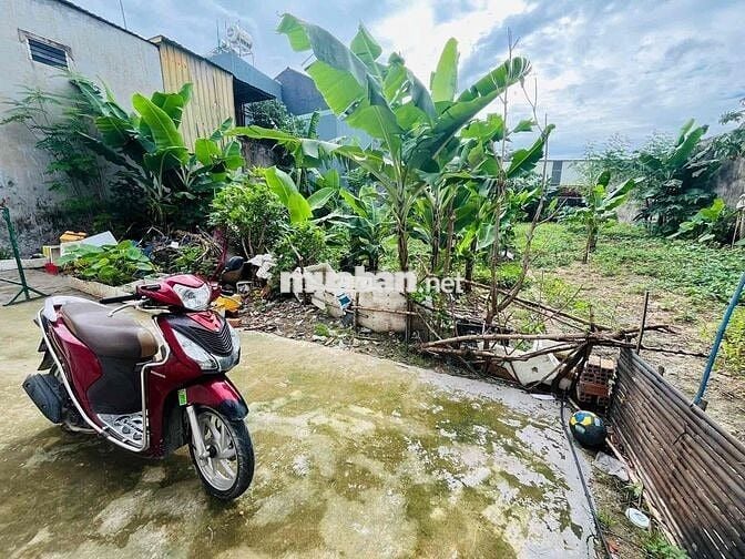 ĐẤT SỔ RIÊNG 261m hẻm 262 Bùi Thị Xuân gần chợ Tân Bình