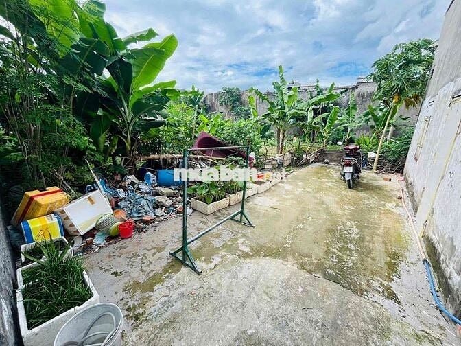 ĐẤT SỔ RIÊNG 261m hẻm 262 Bùi Thị Xuân gần chợ Tân Bình