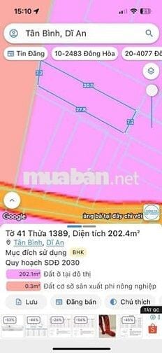 ĐẤT SỔ RIÊNG 261m hẻm 262 Bùi Thị Xuân gần chợ Tân Bình