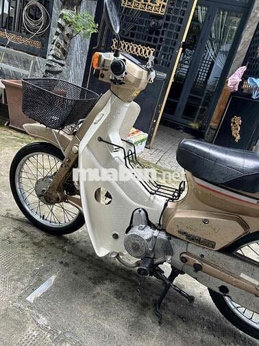 cub 84