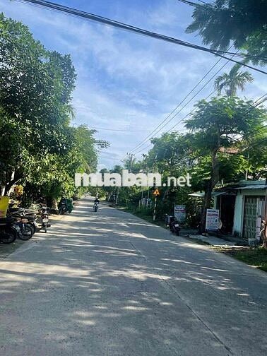 BÁN ĐẤT TRUNG TÂM PHỐ CỔ HỘI AN GIÁ CHỈ 15TR/ M2