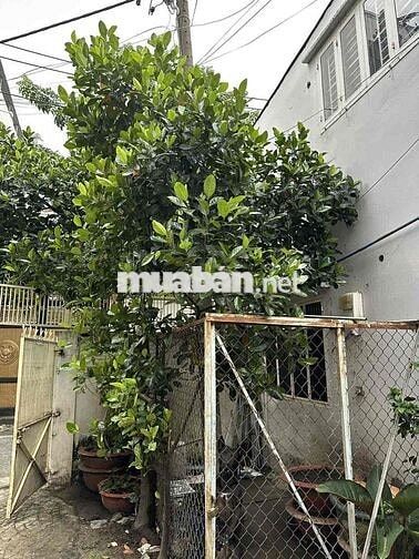 🌹MTKD Nhà Mặt Tiền Hẻm Âu Cơ Tân Sơn Nhì (5.25m x 20.05m) Hướng Nam