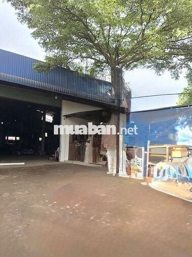 BÁN XƯỞNG MT 15 X 60M TÂN HIỆP HÓC MÔN SHR FUll THỔ CƯ ĐƯỜNG XE CỒNG