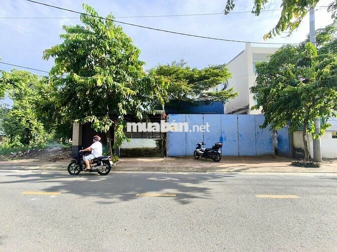 BÁN XƯỞNG MT 15 X 60M TÂN HIỆP HÓC MÔN SHR FUll THỔ CƯ ĐƯỜNG XE CỒNG